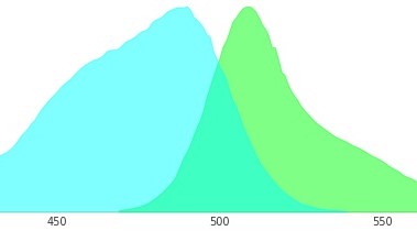 綠色熒光蛋白EX488和EM510是指什么？