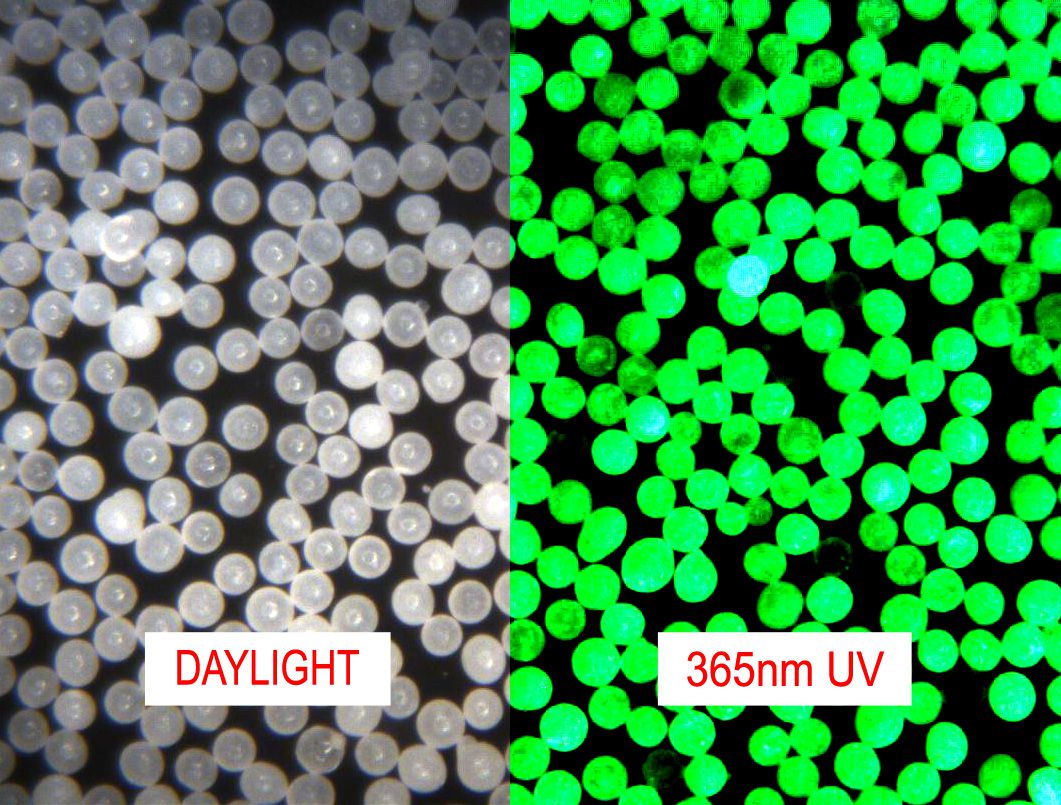 何為熒光微球？ 